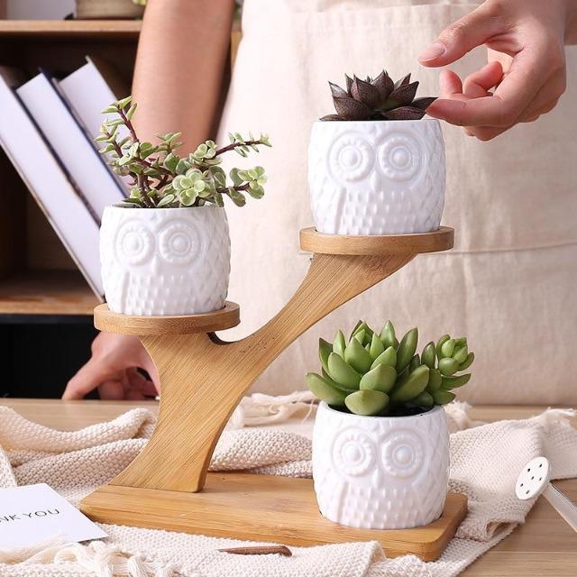 Mia - Creative Ceramic Succulent Pot