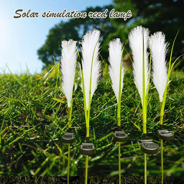 SolarZone - Reed lamp