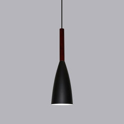 9 1/2" Wide Aluminum & Wood Pendant Light