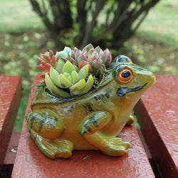 Plant pot - Froggy - Cute design - plant pot