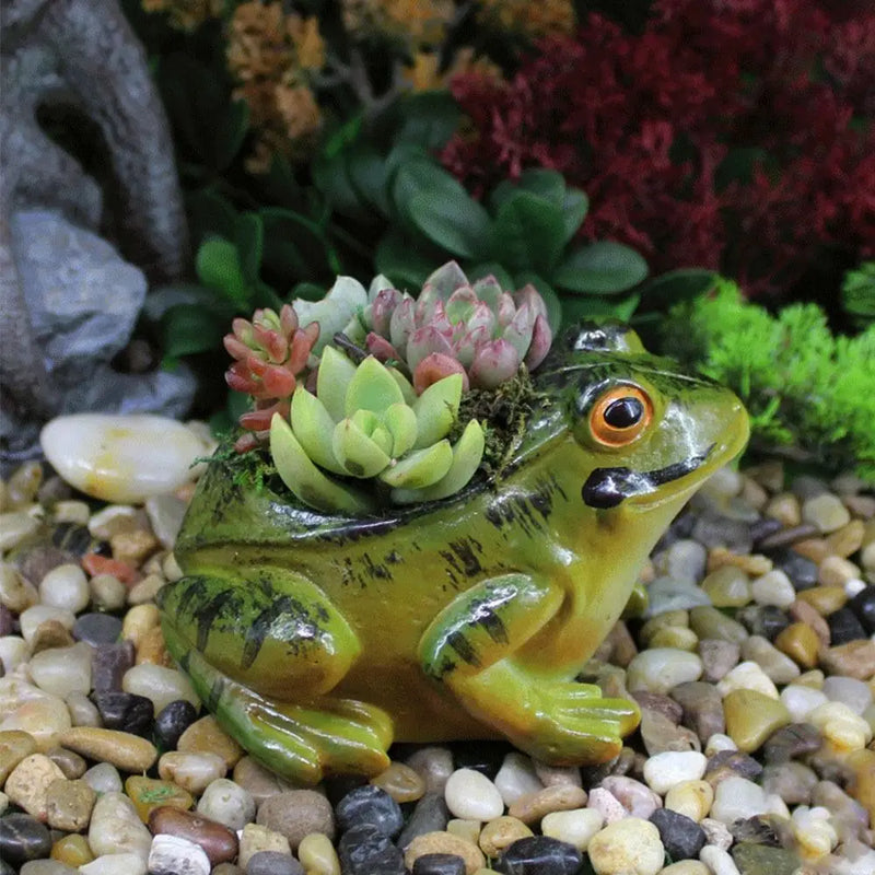 Plant pot - Froggy - Cute design - plant pot