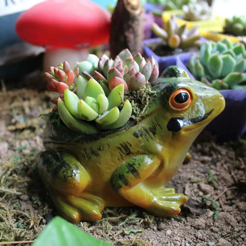 Plant pot - Froggy - Cute design - plant pot