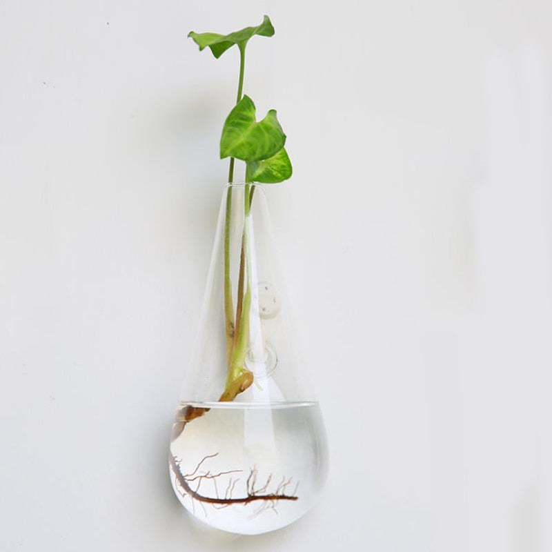 Hanging Glass Planter Terrarium