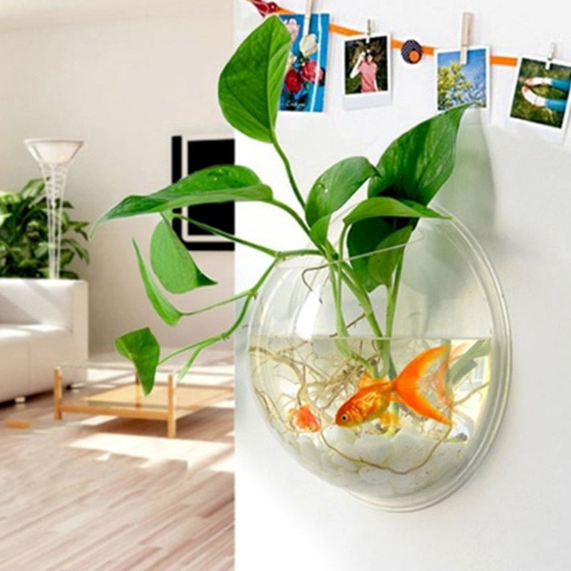 Hanging Glass Planter Terrarium