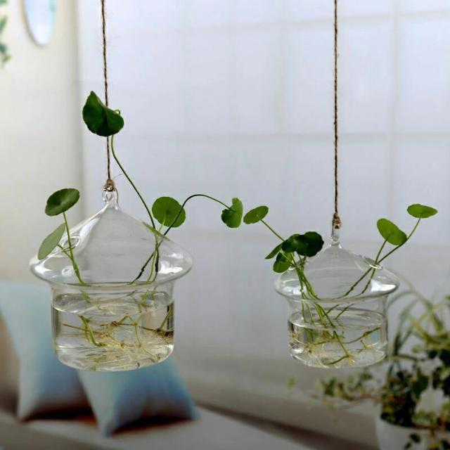 Jing - Hydroponic Hanging Flower Pot