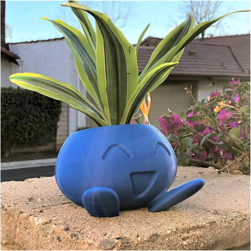 Planter - Crazy - For succulents - Unique flower pot