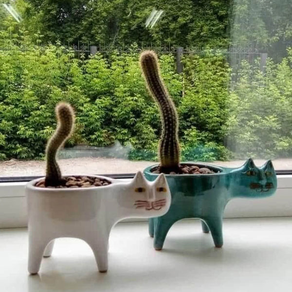 Cat Tail Hand-Crafted Flower Pot