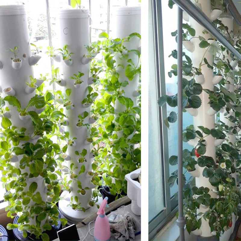 Hydroponics Soilless Plant Grow Cups