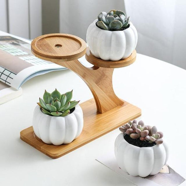 Mia - Creative Ceramic Succulent Pot