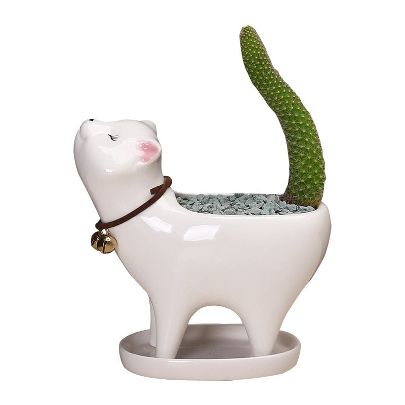 Ceramic Cat Tail Cactus Flowerpot