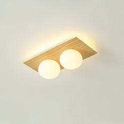 Miravique Wall/Ceiling Lamp