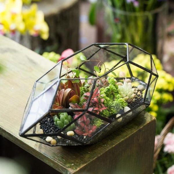 Ruth - Modern Glass Terrarium Container