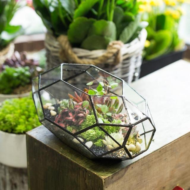 Ruth - Modern Glass Terrarium Container