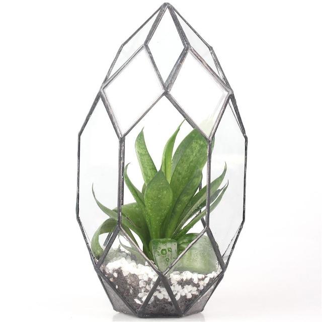 Ruth - Modern Glass Terrarium Container