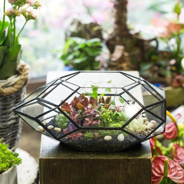 Ruth - Modern Glass Terrarium Container