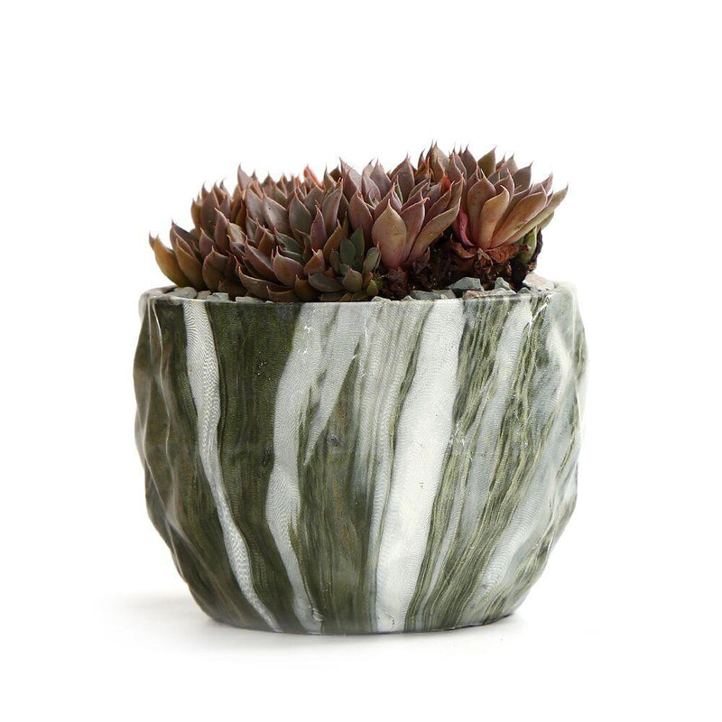 Deidra - Modern Bonsai Marbling Flower Pot (4 pcs)