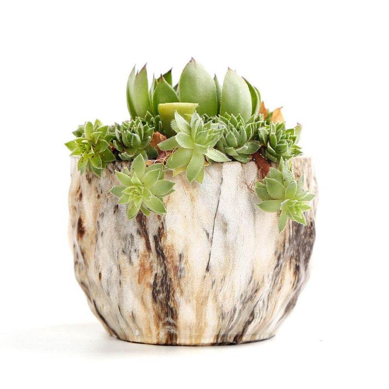 Deidra - Modern Bonsai Marbling Flower Pot (4 pcs)