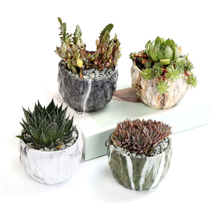 Deidra - Modern Bonsai Marbling Flower Pot (4 pcs)