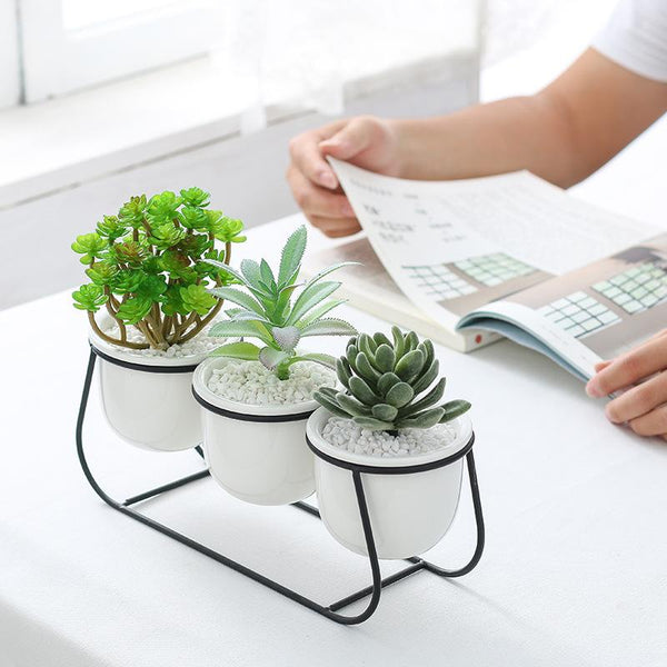 Daja - Modern White Ceramic Flower Pots