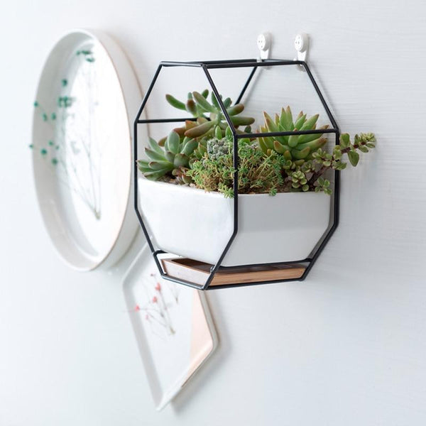 Elle - Nordic Ceramic Succulent Plant Pot