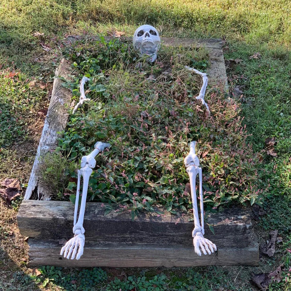 Miravique Very Scary Halloween Lawn Skeleton