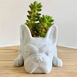 Succulent flower pot - Puppy - Resin Dogs - French bulldog