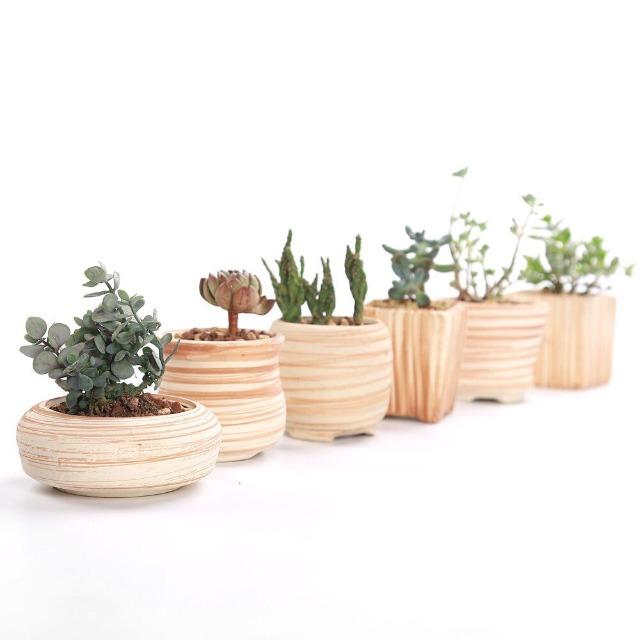 Victoria - Multipurpose Ceramic Planter