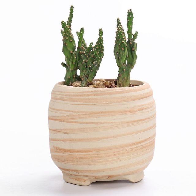 Victoria - Multipurpose Ceramic Planter