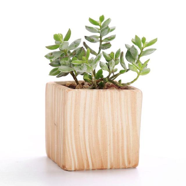 Victoria - Multipurpose Ceramic Planter