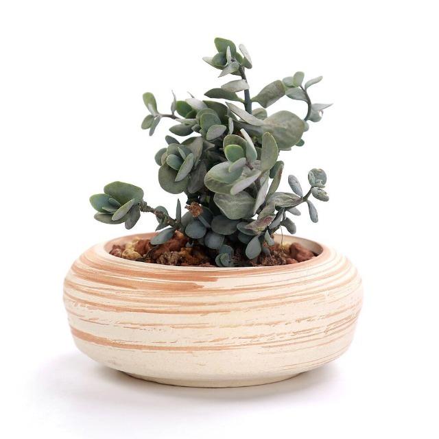 Victoria - Multipurpose Ceramic Planter