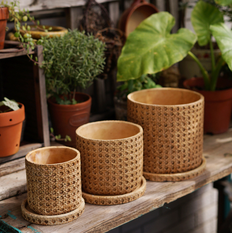 Natural Rattan Texture Cement Planter