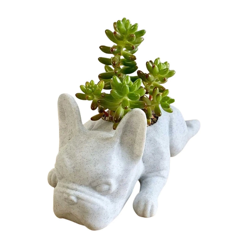 Succulent flower pot - Puppy - Resin Dogs - French bulldog