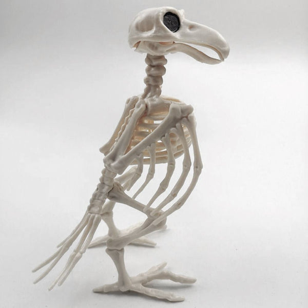 Animal Bone Skeleton Halloween Decor