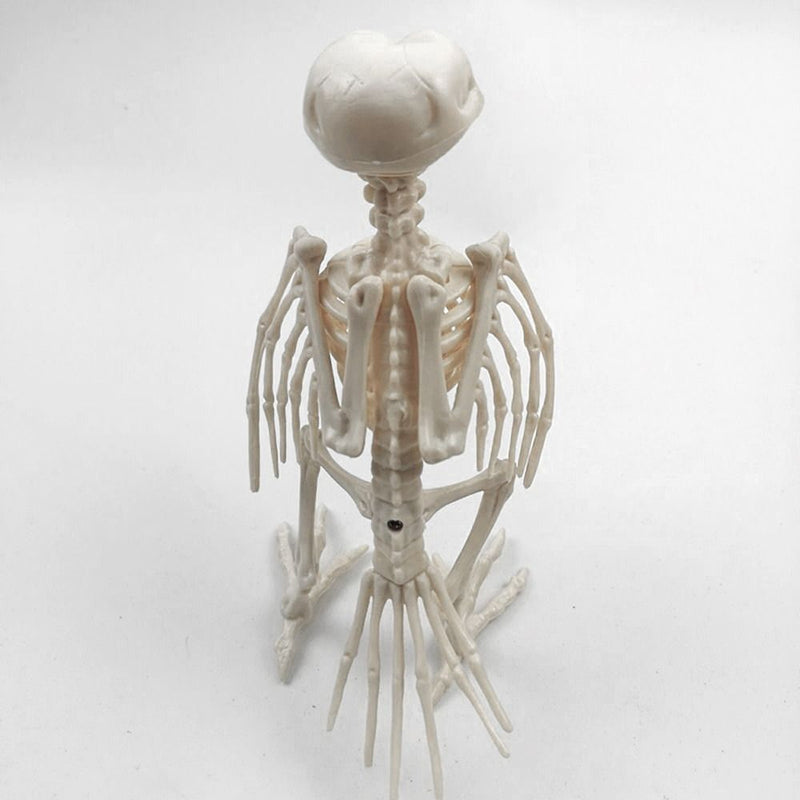 Animal Bone Skeleton Halloween Decor