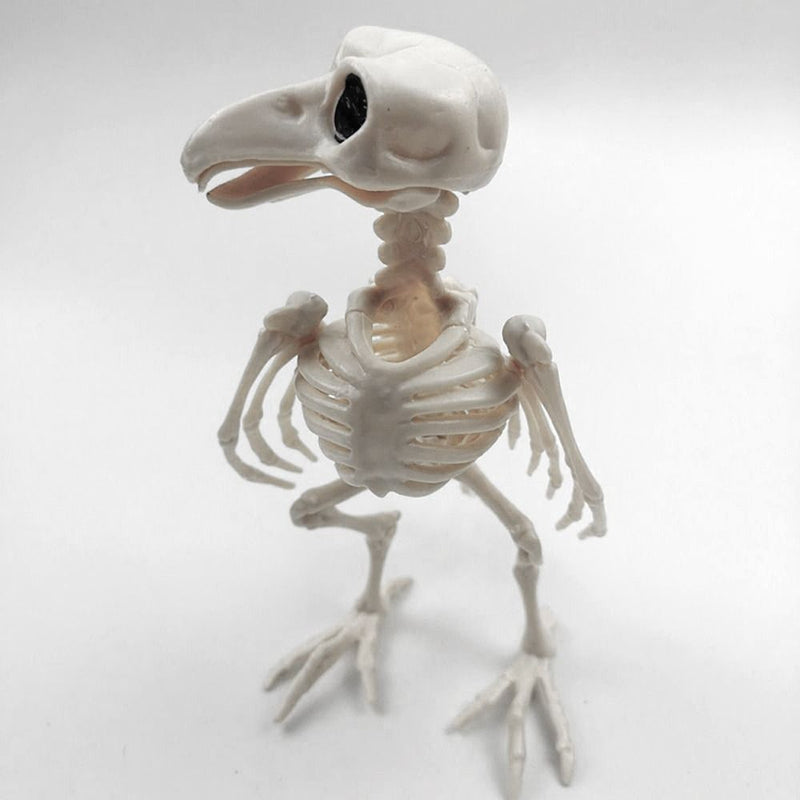 Animal Bone Skeleton Halloween Decor