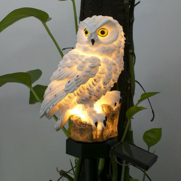 Area Garden Owl Solar Light