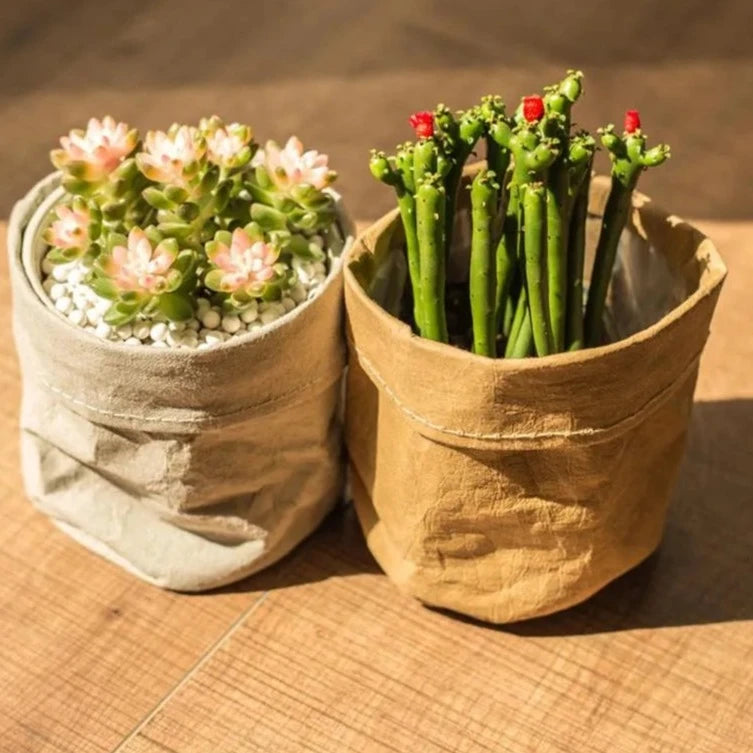 Kraft Paper Planter