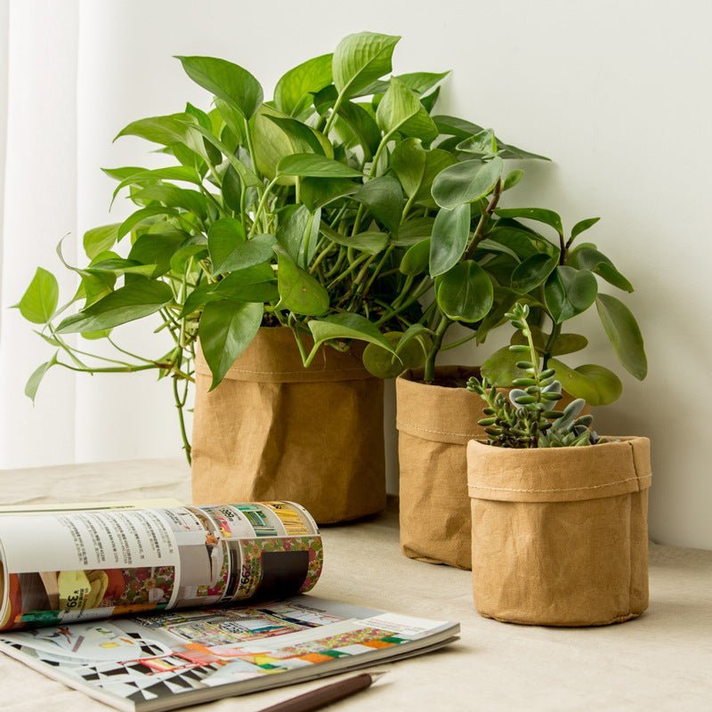 Kraft Paper Planter