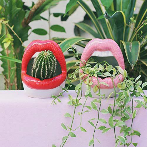 Creative Lips Flower Pot