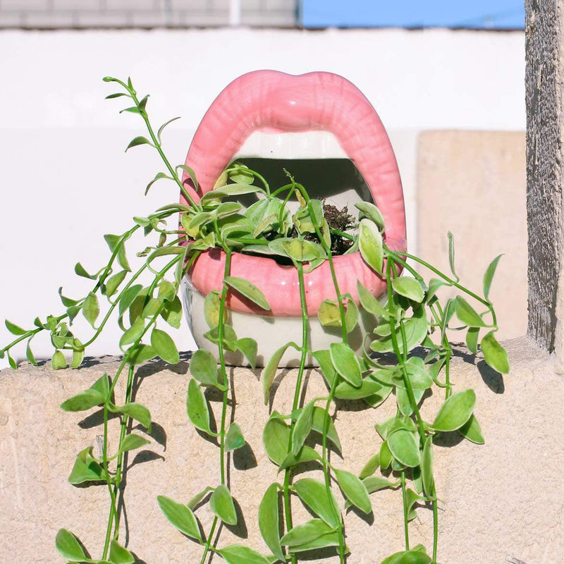 Creative Lips Flower Pot