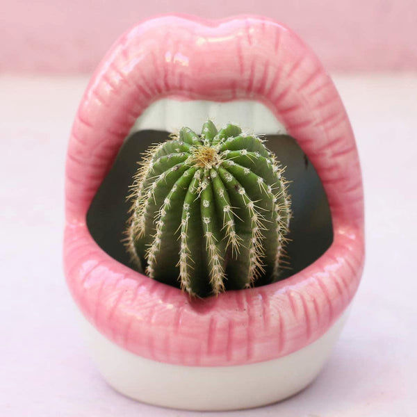 Creative Lips Flower Pot