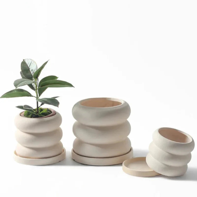 Natural Rounds Bubble Planter