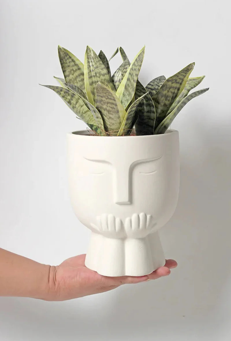 Hermes White Ceramic Potted Planter