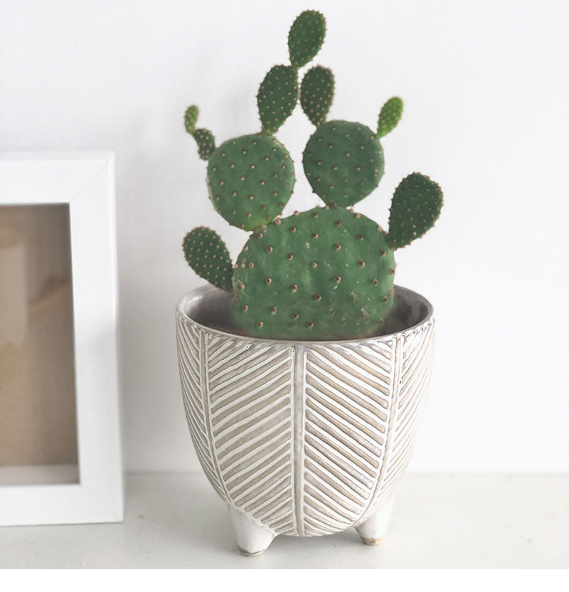 Vacation Island Ceramic Planters