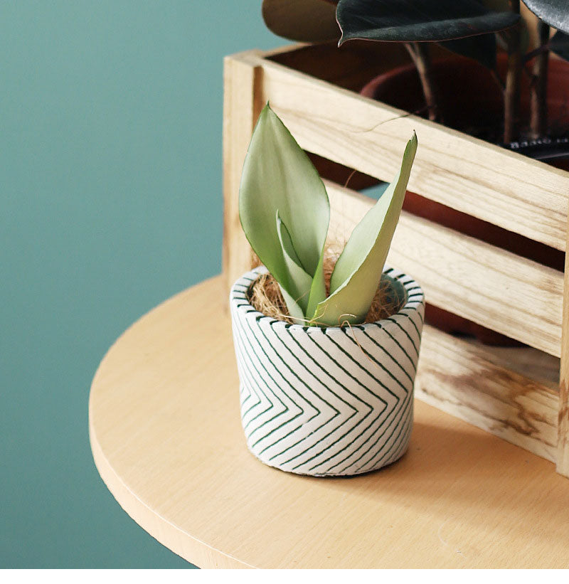 Imprint Painted Ceramic Planters