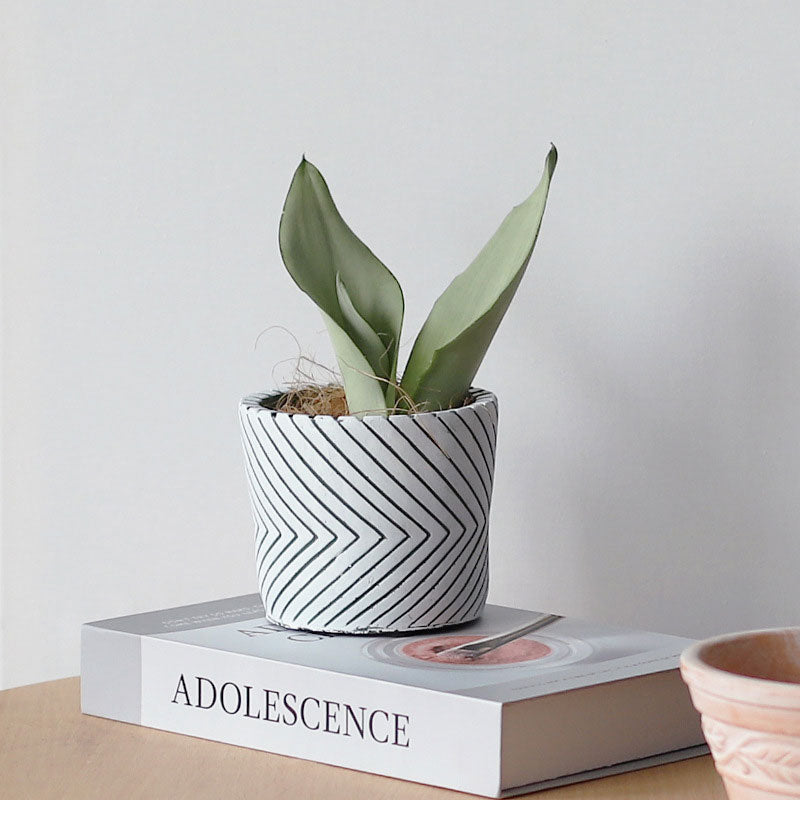 Imprint Painted Ceramic Planters