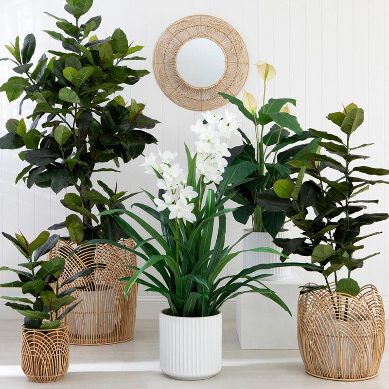 Fern Handmade Rattan Planter Baskets