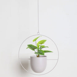 Pastel Vivienne Hanging Metal Planter Pot Holders