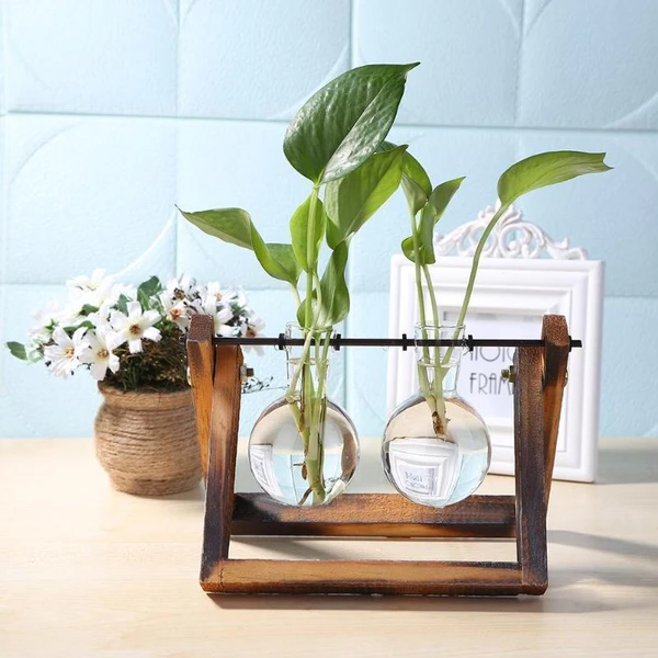 Terra - Hydroponics Transparent Plant Vase