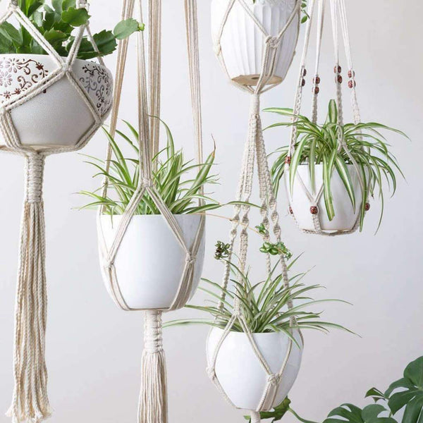 Juno Macrame Plant Hangers (set of 4)